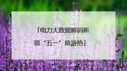 电力大数据解码新疆“五一”旅游热